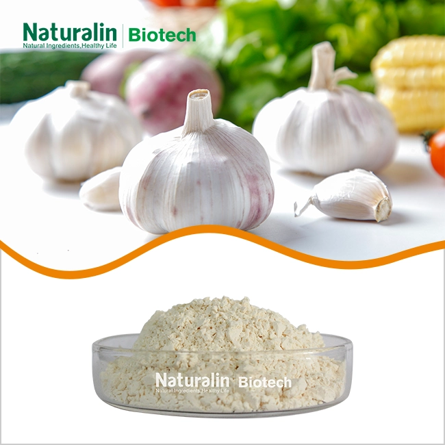 Garlic Extract Powder